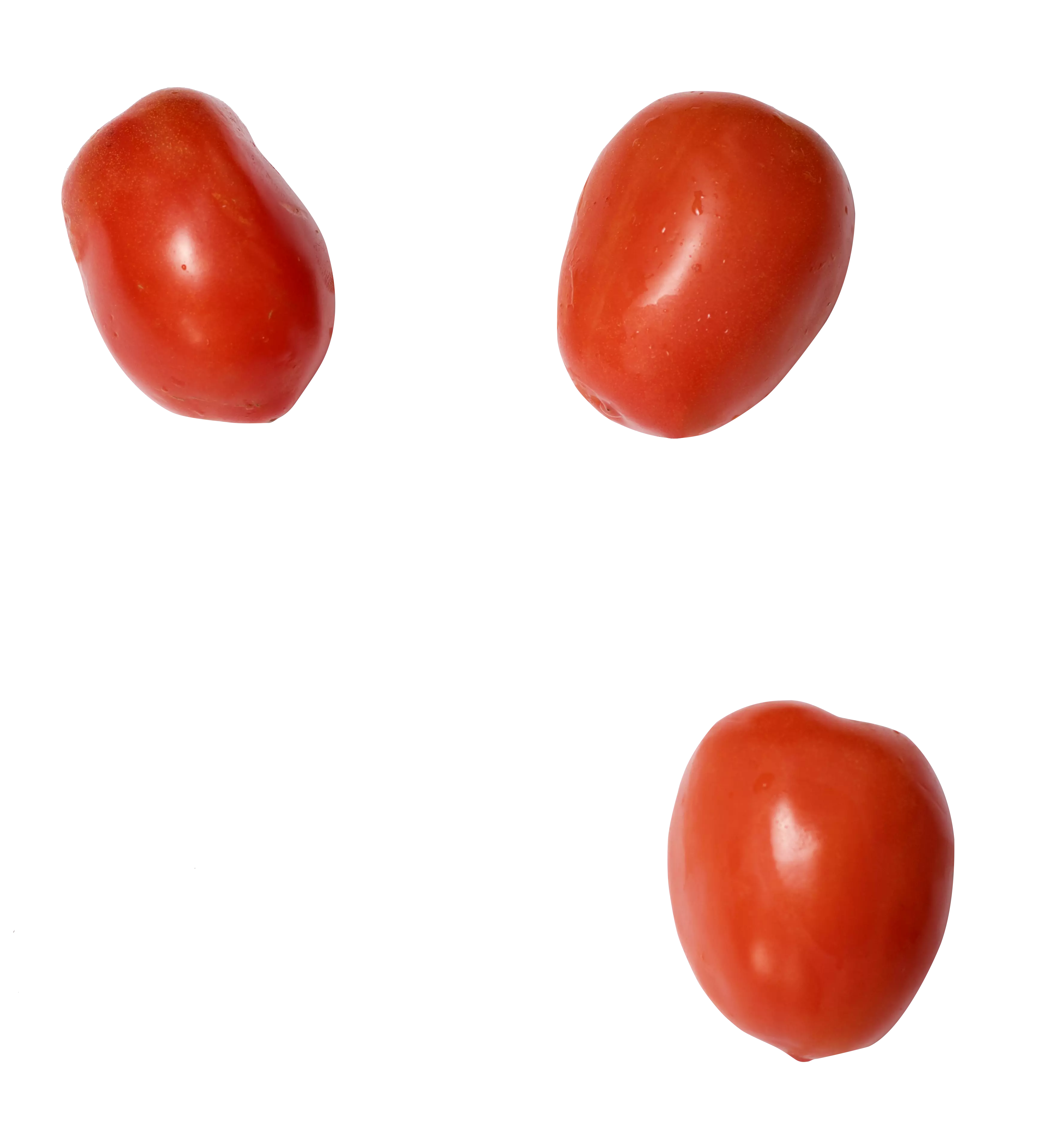 Tomates Bistro